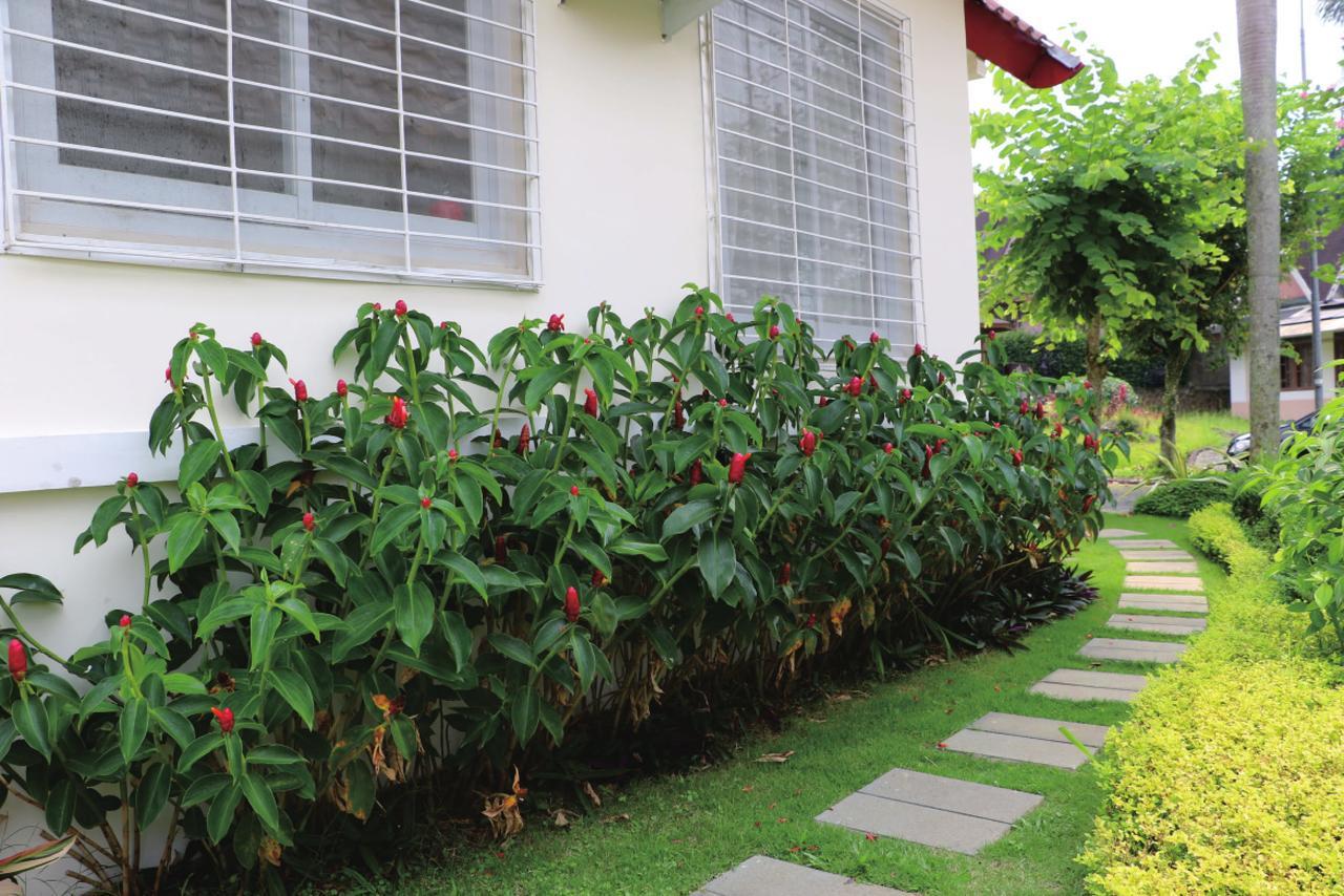 Diyar Villas Puncak M4/12 Esterno foto